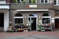 Florales - Blumen & mehr