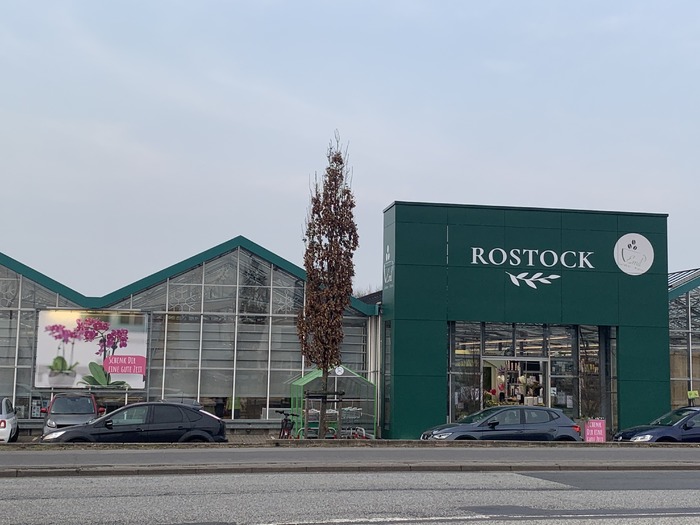 Gartencenter Rostock  · Grauer Esel · Elmshorn | Bild 1/1