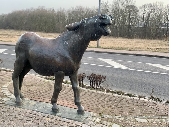 Grauer Esel · Sehenswürdigkeiten · Elmshorn | Bild 1/1