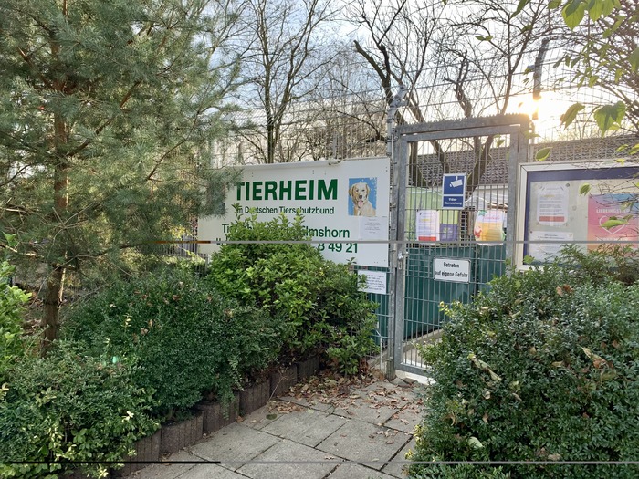 Tierheim Elmshorn · Sibirien · Elmshorn | Bild 1/1