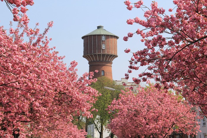 Elmshorner Wasserturm · Sehenswürdigkeiten · Elmshorn | Bild 1/1 | Elmshorner Wasserturm