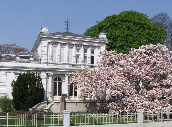 Die weiße Villa · Sehenswürdigkeiten · Elmshorn | Bild 1/1 | Die weiße Villa