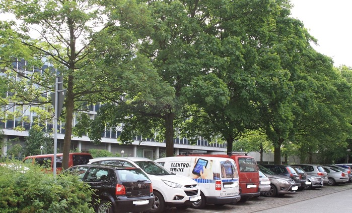 Stellflächen Peterstraße · Parkplatz-Übersicht · Elmshorn | Bild 1/3 | Parkplatz Rathaus