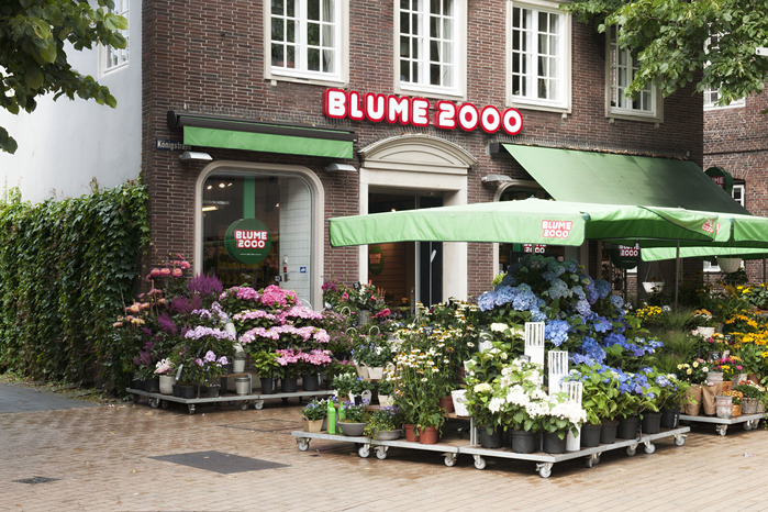 Blume 2000 · Königstraße · Elmshorn | Bild 1/1
